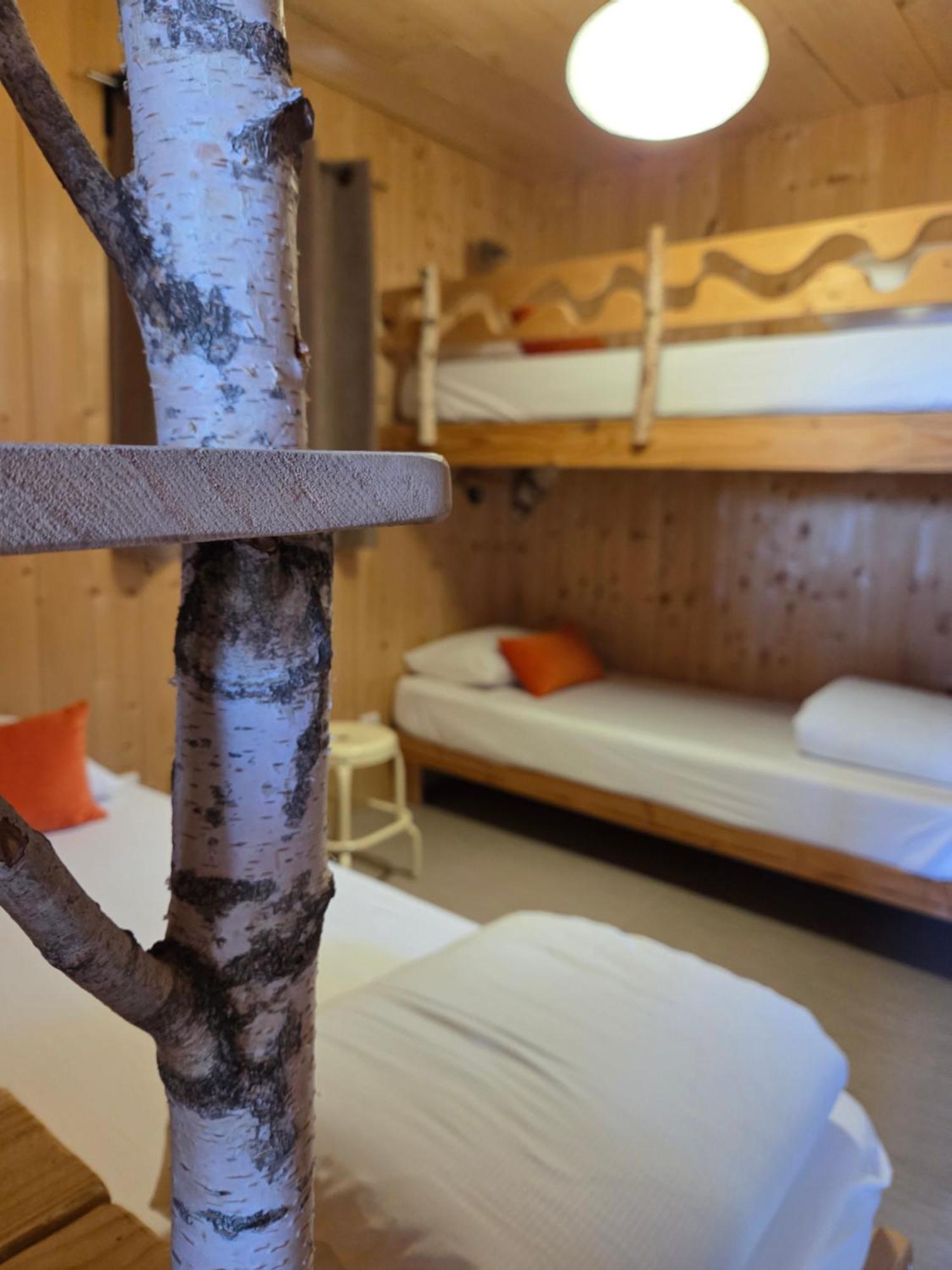 Les Volca'Lodges De Tournebise Saint-Pierre-le-Chastel ภายนอก รูปภาพ