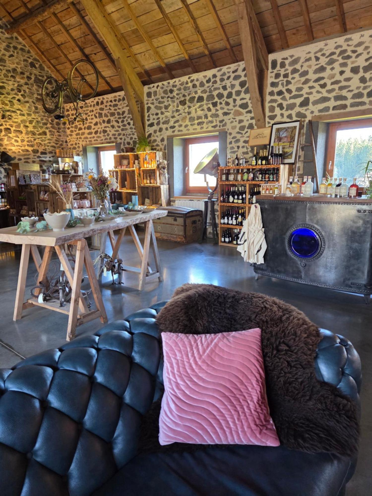 Les Volca'Lodges De Tournebise Saint-Pierre-le-Chastel ภายนอก รูปภาพ