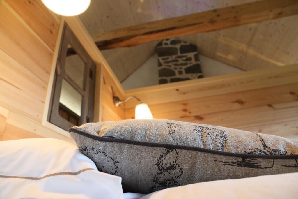 Les Volca'Lodges De Tournebise Saint-Pierre-le-Chastel ภายนอก รูปภาพ